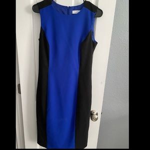 Calvin Klein Blue and Black Sheath Dress